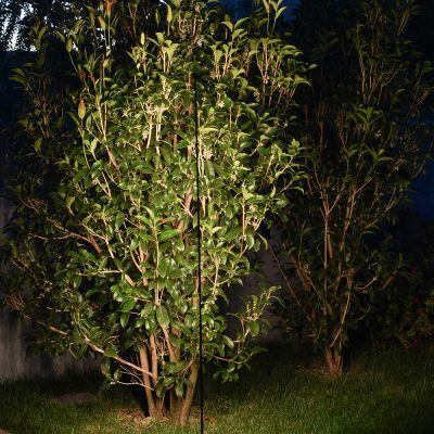 B-LIGHT_GARDEN-RAZOR_DETT-2_11032024