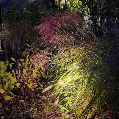 B-LIGHT_GARDEN-RAZOR_DETT-4_11032024