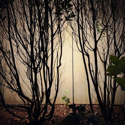 B-LIGHT_GARDEN-RAZOR_DETT-5_11032024