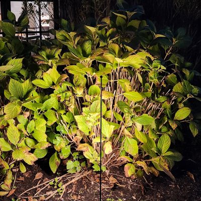 B-LIGHT_GARDEN-RAZOR_DETT-6_11032024