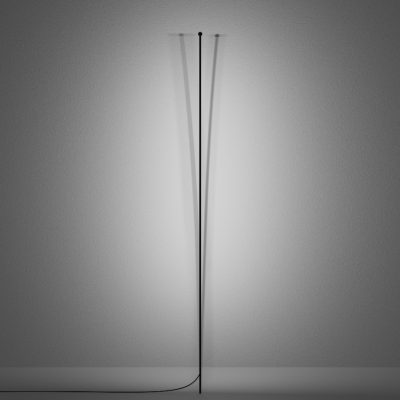 B LIGHT_GARDEN RAZOR_STILL LIFE_11032024