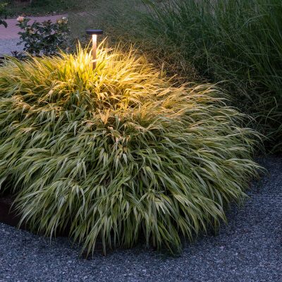 B-LIGHT_TONDO_EXAMPLE_3