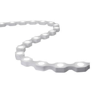 VERTEBRA